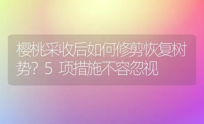 樱桃采收后如何修剪恢复树势？5项措施不容忽视 | 瓜果种植