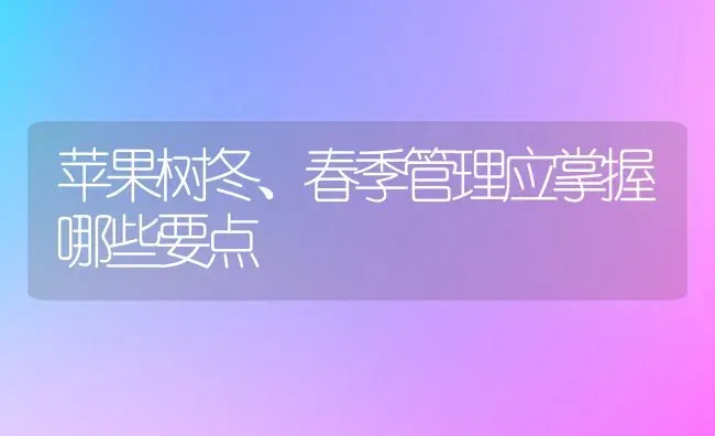 苹果树冬、春季管理应掌握哪些要点 | 瓜果种植