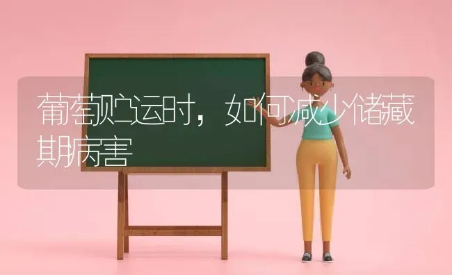 葡萄贮运时，如何减少储藏期病害 | 瓜果种植