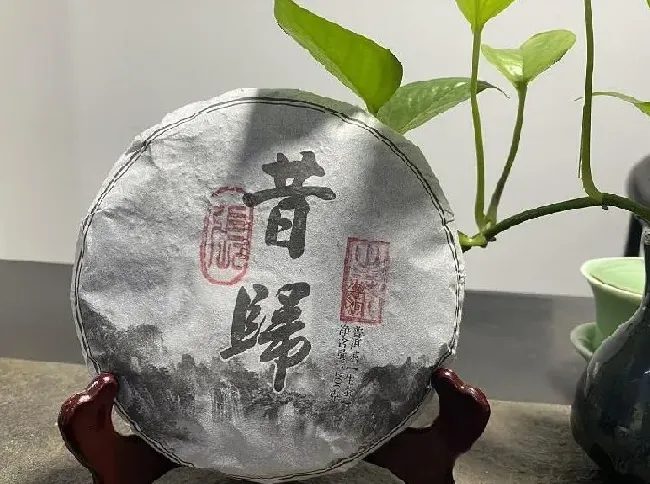 植物泡水|中国云南普洱十大名茶排名（顶级最好喝的普洱茶排行榜）