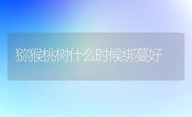 猕猴桃树什么时候绑蔓好 | 瓜果种植