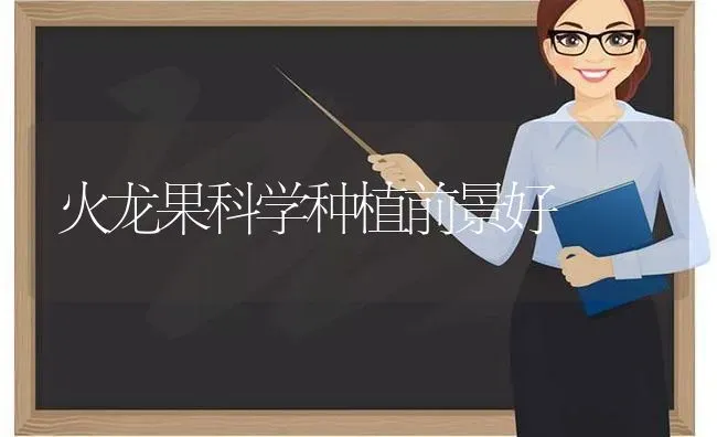 火龙果科学种植前景好 | 瓜果种植