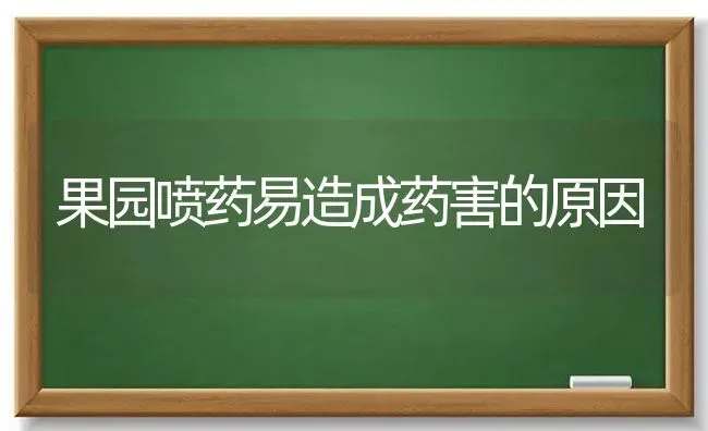 果园喷药易造成药害的原因 | 瓜果种植