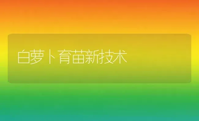 白萝卜育苗新技术 | 蔬菜种植
