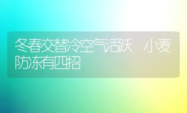 冬春交替冷空气活跃 小麦防冻有四招 | 瓜果种植