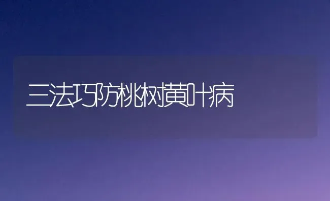 三法巧防桃树黄叶病 | 瓜果种植