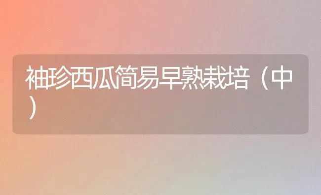 袖珍西瓜简易早熟栽培（中） | 瓜果种植