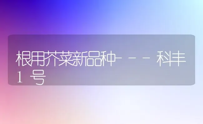 根用芥菜新品种---科丰1号 | 蔬菜种植