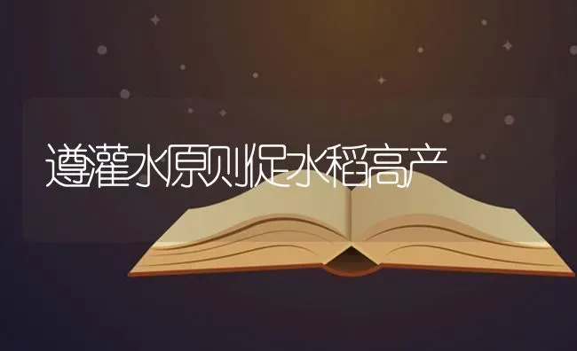 遵灌水原则促水稻高产 | 粮油作物种植