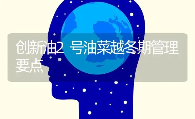 创新油2号油菜越冬期管理要点 | 粮油作物种植