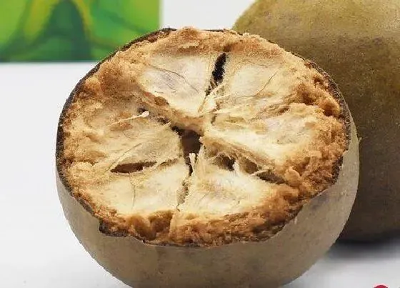 食用科普|罗汉果可以生吃吗