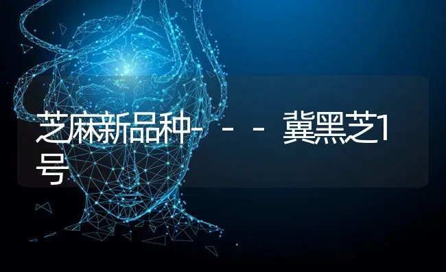 芝麻新品种---冀黑芝1号 | 粮油作物种植