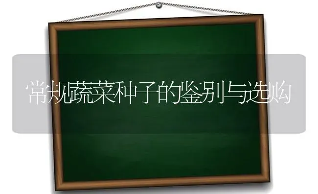 常规蔬菜种子的鉴别与选购 | 蔬菜种植
