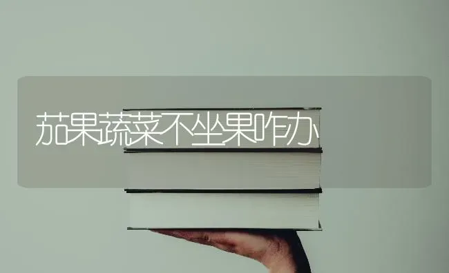 茄果蔬菜不坐果咋办 | 蔬菜种植