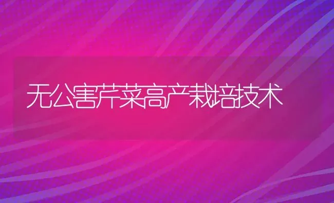 无公害芹菜高产栽培技术 | 蔬菜种植