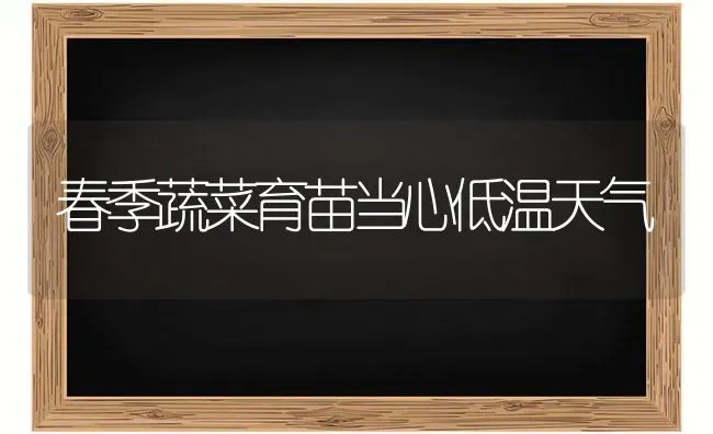春季蔬菜育苗当心低温天气 | 蔬菜种植