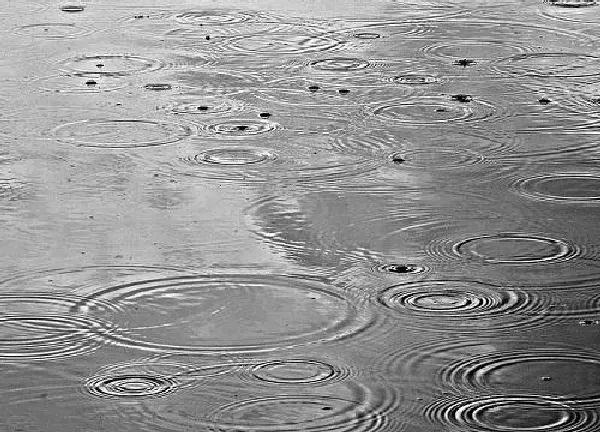 植物浇水|接的雨水能直接浇花吗 雨水浇花好不好