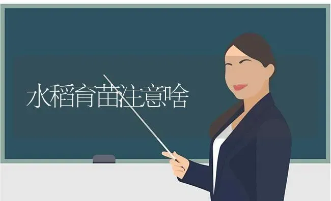水稻育苗注意啥 | 粮油作物种植