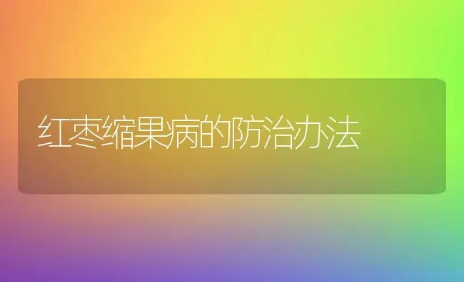 红枣缩果病的防治办法 | 瓜果种植