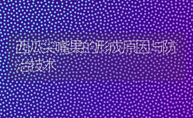 西瓜尖嘴果的形成原因与防治技术 | 瓜果种植