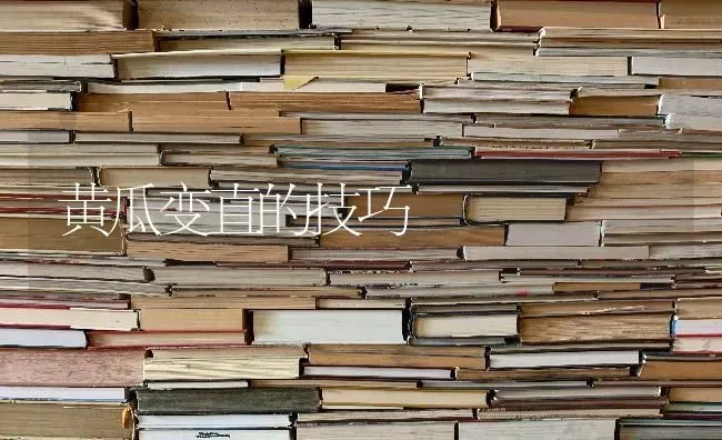 黄瓜变直的技巧 | 蔬菜种植