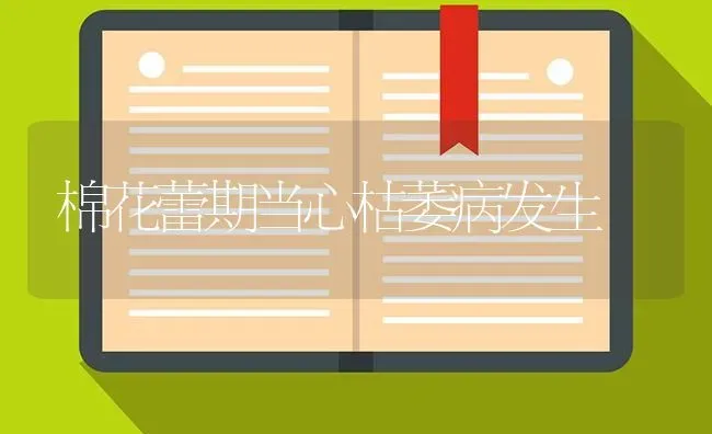 棉花蕾期当心枯萎病发生 | 粮油作物种植