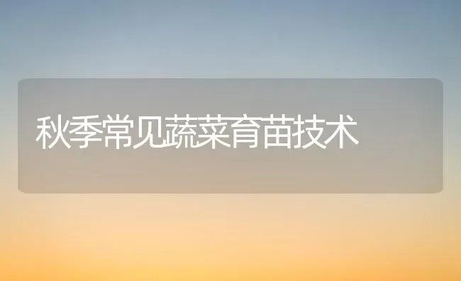 秋季常见蔬菜育苗技术 | 蔬菜种植