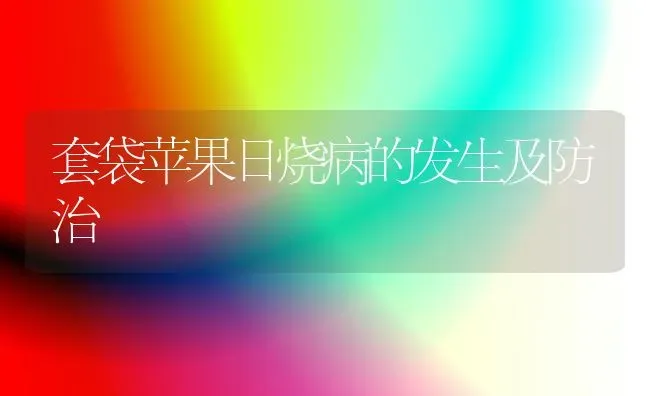 套袋苹果日烧病的发生及防治 | 瓜果种植