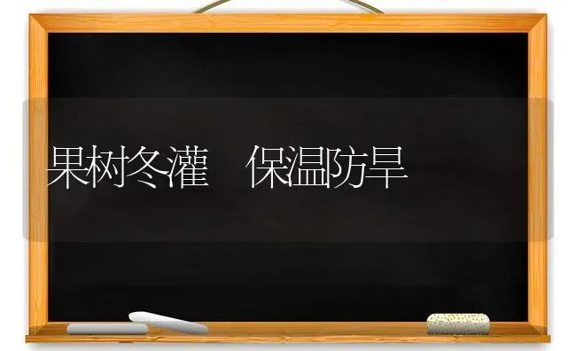 果树冬灌 保温防旱 | 瓜果种植