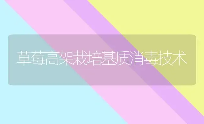草莓高架栽培基质消毒技术 | 瓜果种植