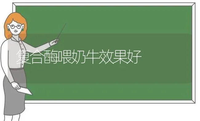 复合酶喂奶牛效果好 | 瓜果种植