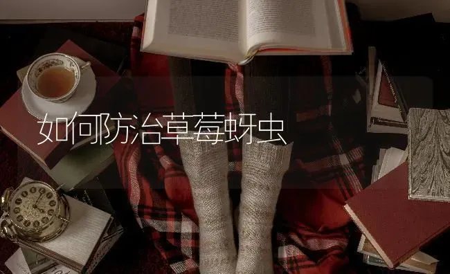 如何防治草莓蚜虫 | 瓜果种植