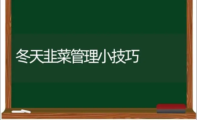 冬天韭菜管理小技巧 | 蔬菜种植