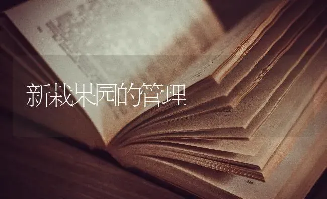 新栽果园的管理 | 瓜果种植