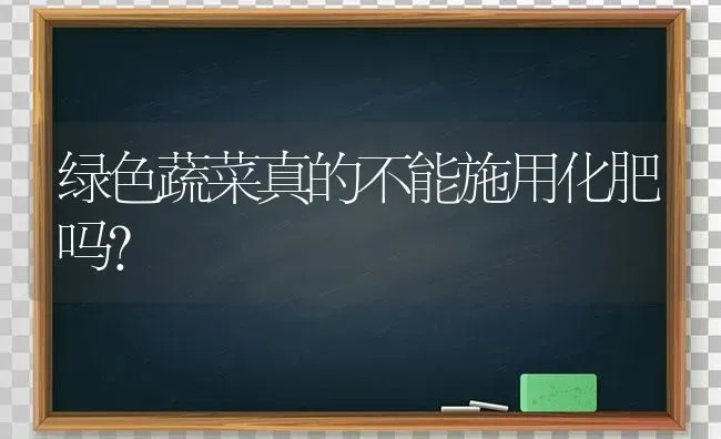 绿色蔬菜真的不能施用化肥吗？ | 蔬菜种植