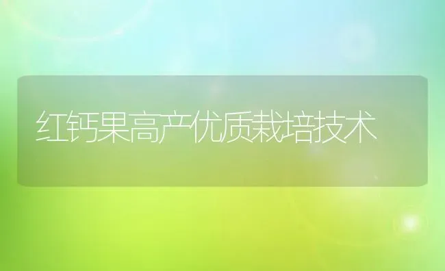 红钙果高产优质栽培技术 | 瓜果种植