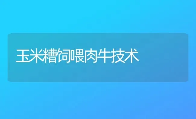 玉米糟饲喂肉牛技术 | 粮油作物种植