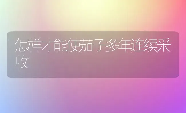怎样才能使茄子多年连续采收 | 蔬菜种植