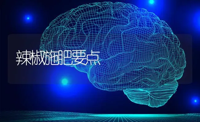 辣椒施肥要点 | 种植肥料施肥