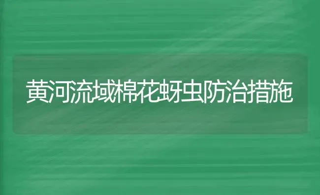 黄河流域棉花蚜虫防治措施 | 粮油作物种植