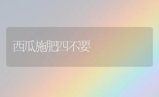 西瓜施肥四不要 | 种植肥料施肥