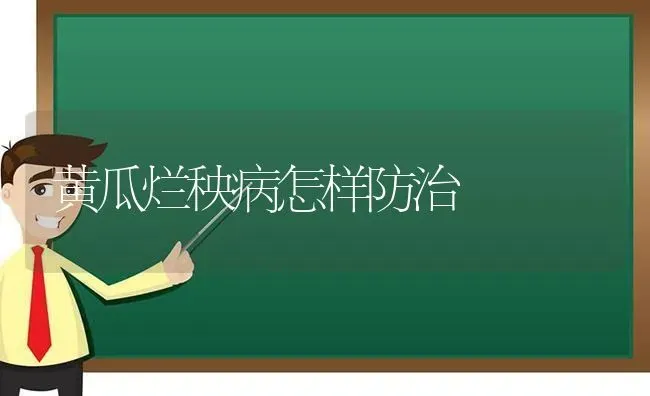 黄瓜烂秧病怎样防治 | 蔬菜种植