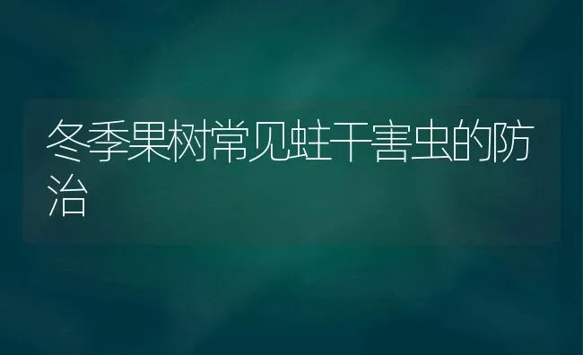 冬季果树常见蛀干害虫的防治 | 瓜果种植