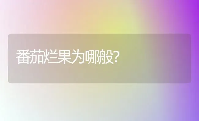 番茄烂果为哪般？ | 瓜果种植