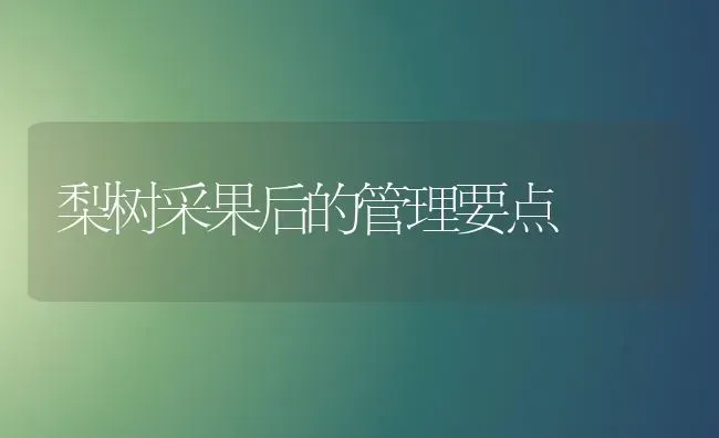 梨树采果后的管理要点 | 瓜果种植