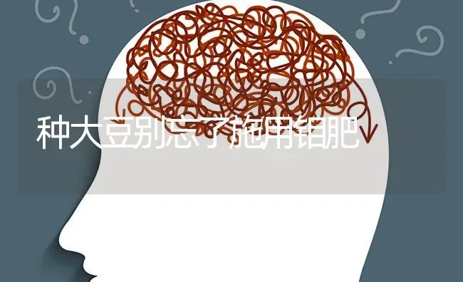 种大豆别忘了施用钼肥 | 粮油作物种植