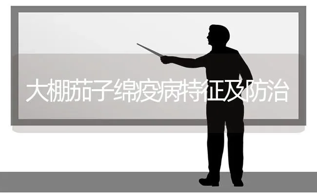 大棚茄子绵疫病特征及防治 | 蔬菜种植