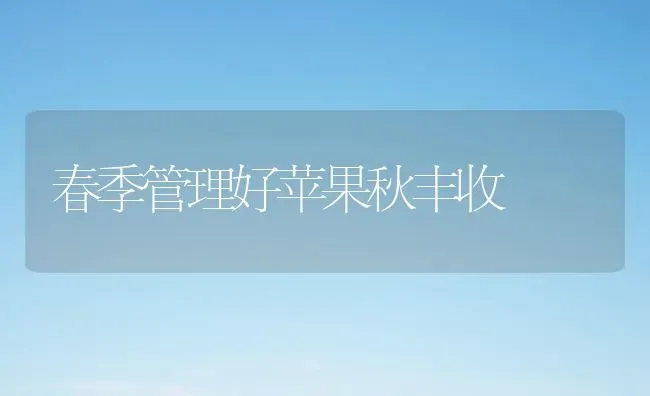 春季管理好苹果秋丰收 | 瓜果种植
