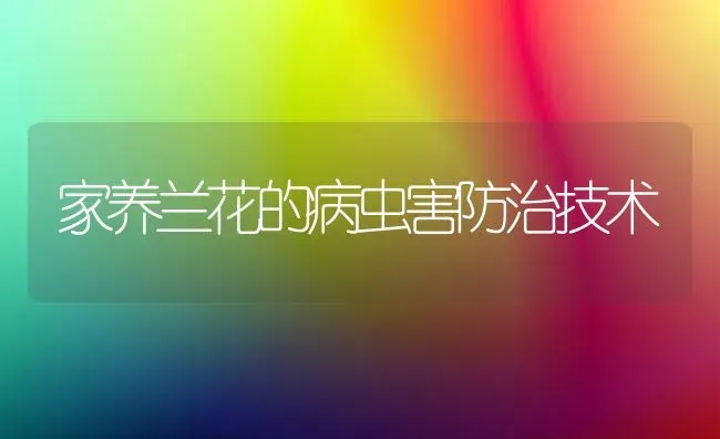 家养兰花的病虫害防治技术 | 种植病虫害防治