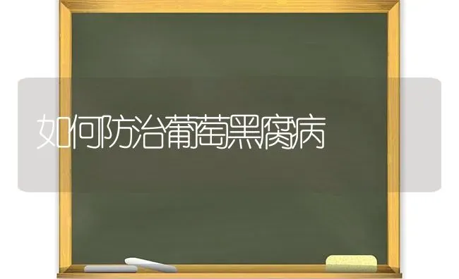 如何防治葡萄黑腐病 | 瓜果种植